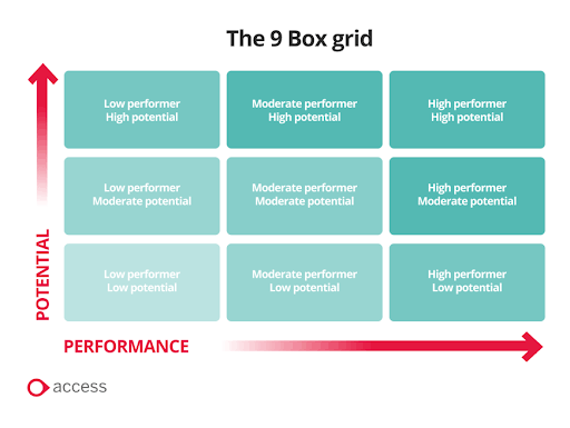 9 box grid model